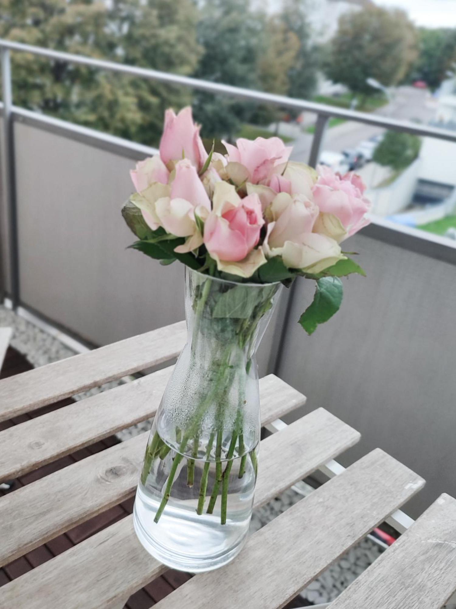 Business & Leisure Apartment Ingolstadt Zewnętrze zdjęcie